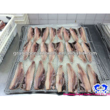 herring fresh fillet